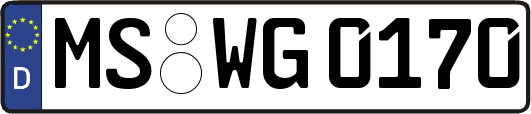 MS-WG0170