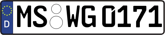 MS-WG0171