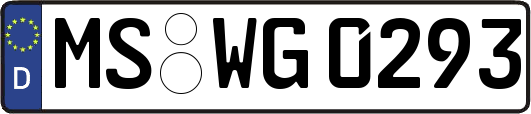 MS-WG0293