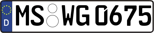 MS-WG0675