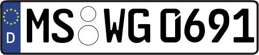 MS-WG0691