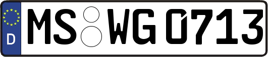 MS-WG0713
