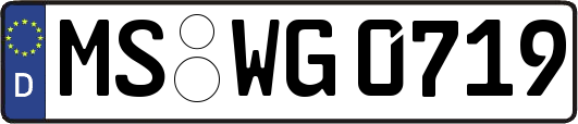 MS-WG0719