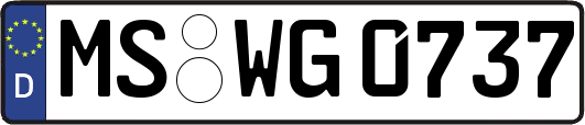 MS-WG0737
