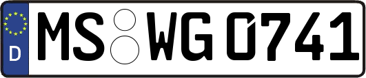 MS-WG0741