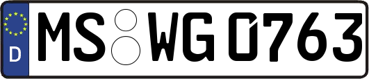 MS-WG0763