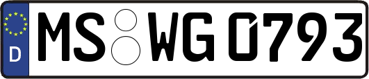 MS-WG0793