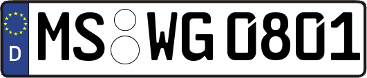 MS-WG0801
