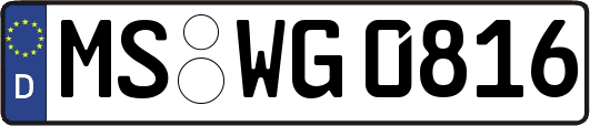 MS-WG0816