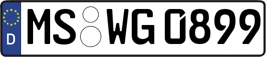 MS-WG0899