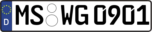 MS-WG0901