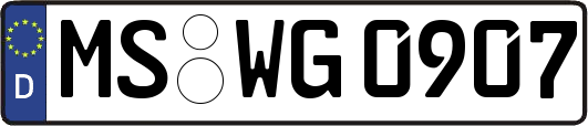 MS-WG0907