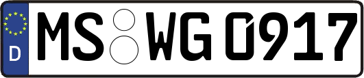 MS-WG0917