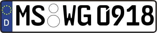 MS-WG0918