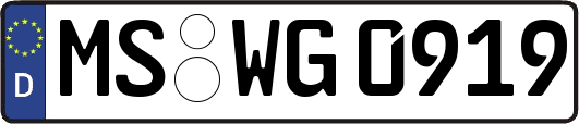 MS-WG0919