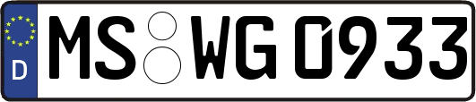 MS-WG0933