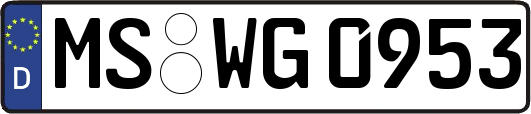 MS-WG0953