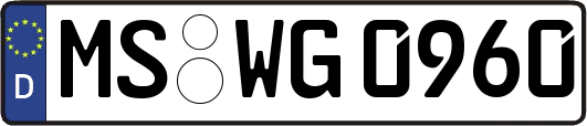 MS-WG0960