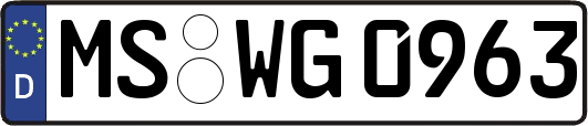 MS-WG0963