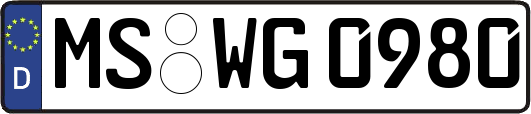 MS-WG0980