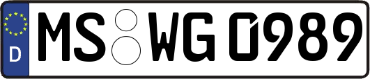MS-WG0989
