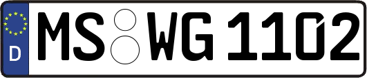 MS-WG1102