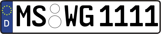 MS-WG1111