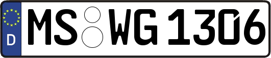 MS-WG1306