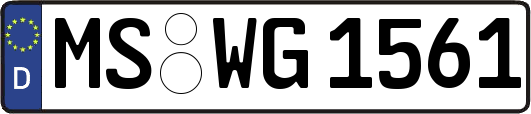 MS-WG1561