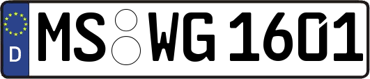MS-WG1601