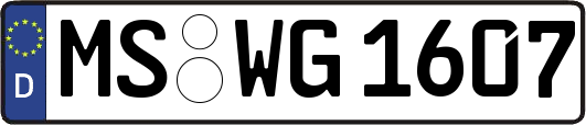 MS-WG1607