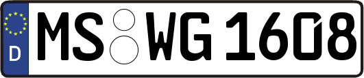 MS-WG1608