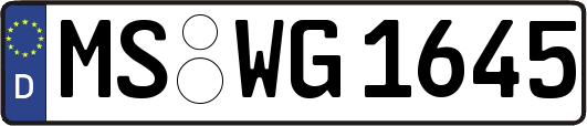 MS-WG1645