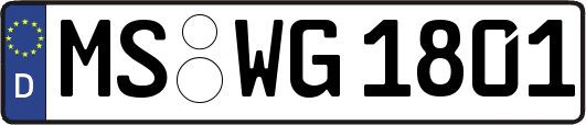 MS-WG1801