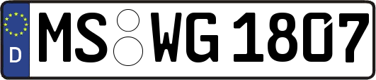MS-WG1807