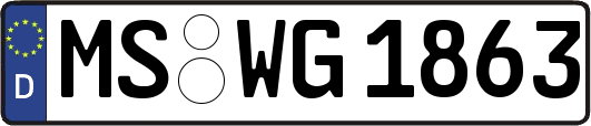 MS-WG1863