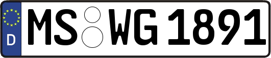MS-WG1891
