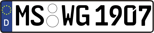 MS-WG1907