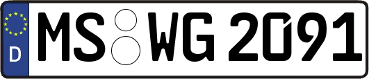 MS-WG2091