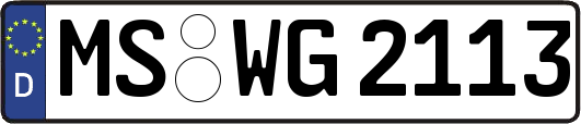 MS-WG2113
