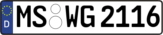MS-WG2116