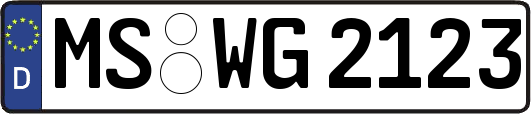 MS-WG2123