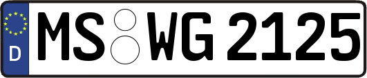 MS-WG2125