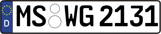 MS-WG2131