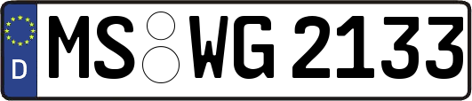 MS-WG2133