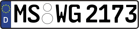 MS-WG2173