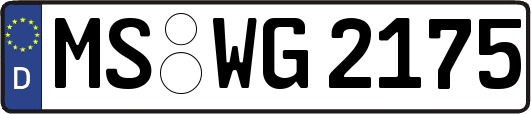 MS-WG2175