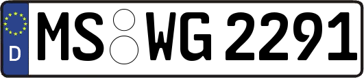 MS-WG2291
