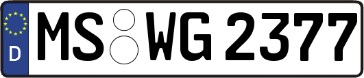 MS-WG2377