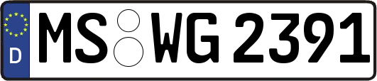 MS-WG2391